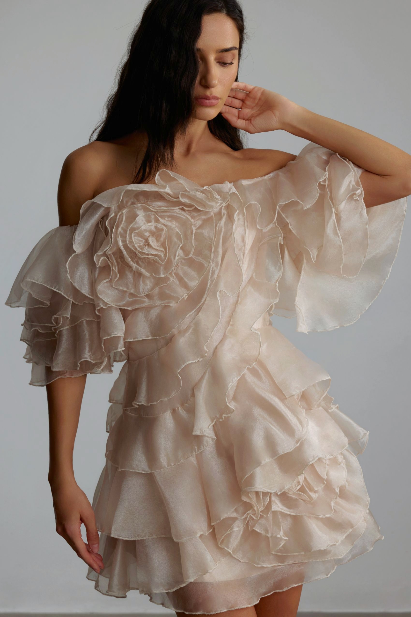 Estra Off-Shoulder Floral Tulle Mini Dress